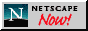 [Netscape Now!]